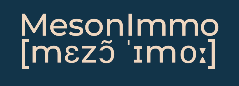 meson_immo_ft