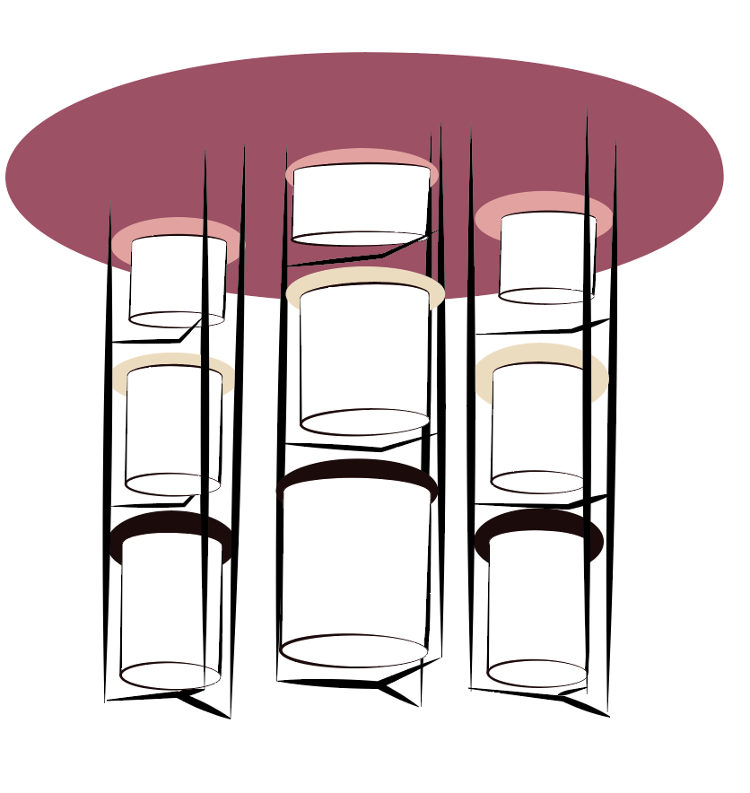 majorana_demonstrator